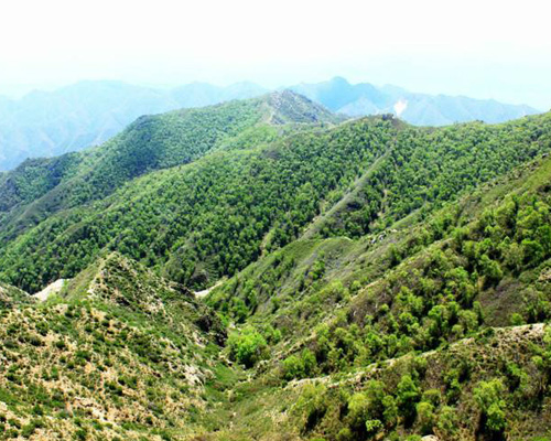 原始森林马鞍山